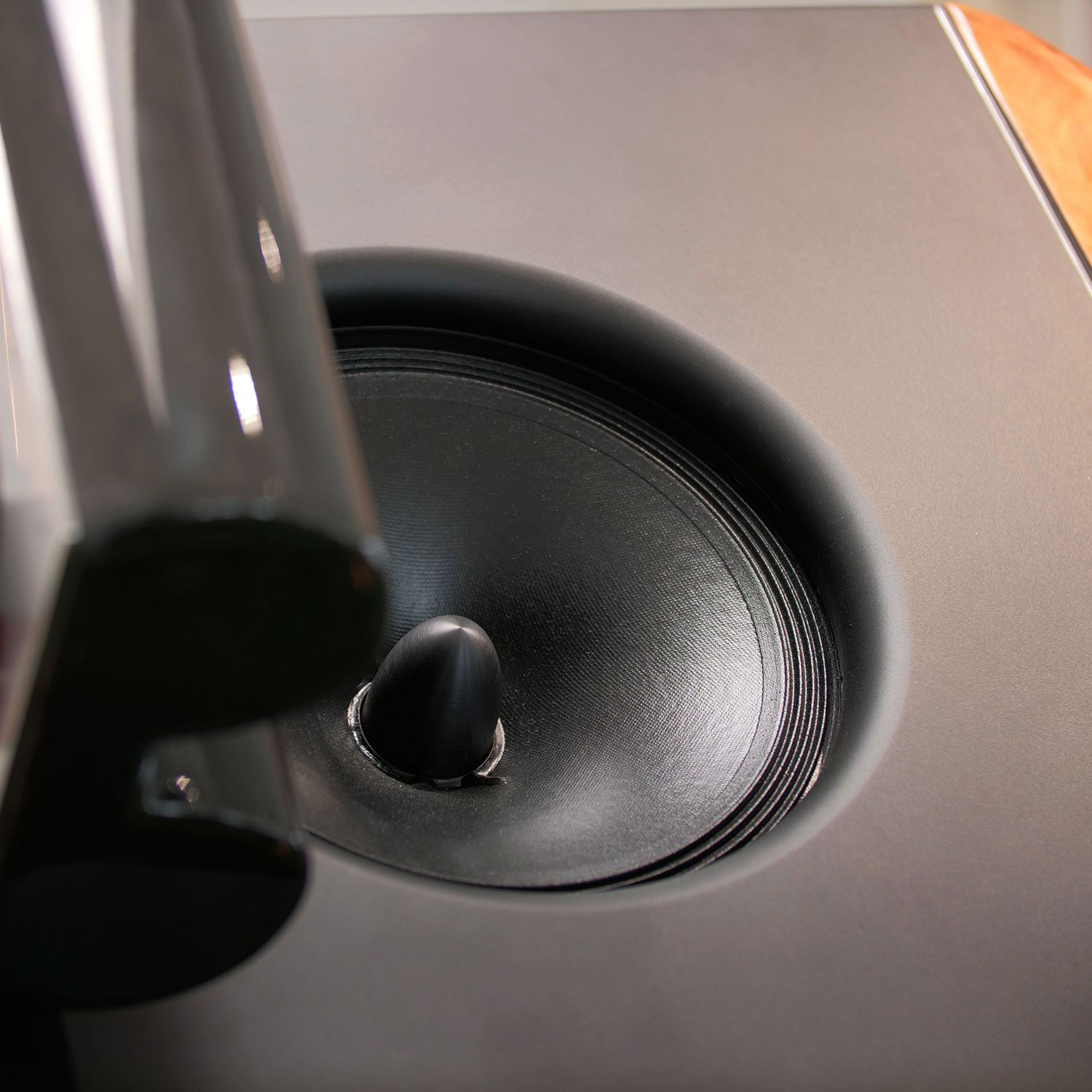Aurora Horn Speaker