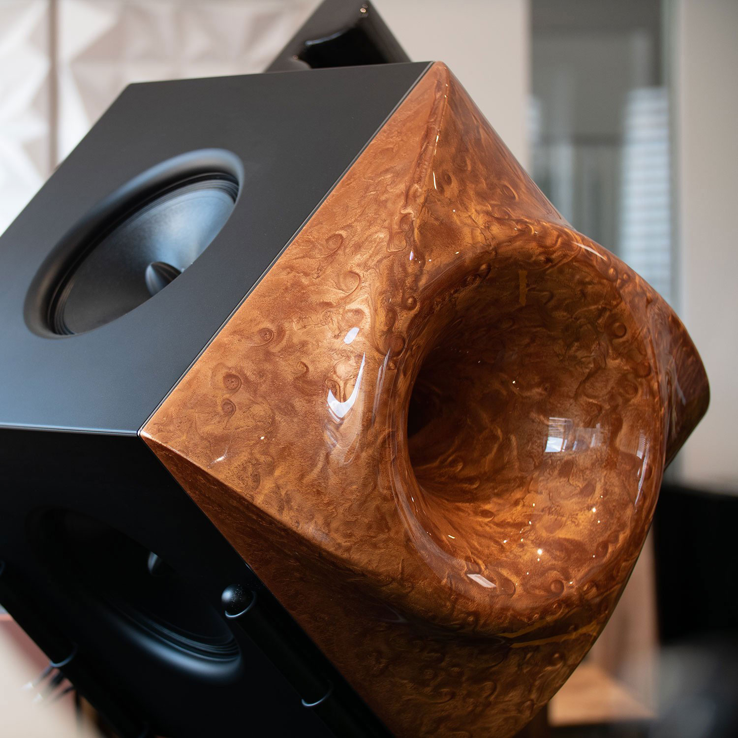 Aurora Horn Speaker