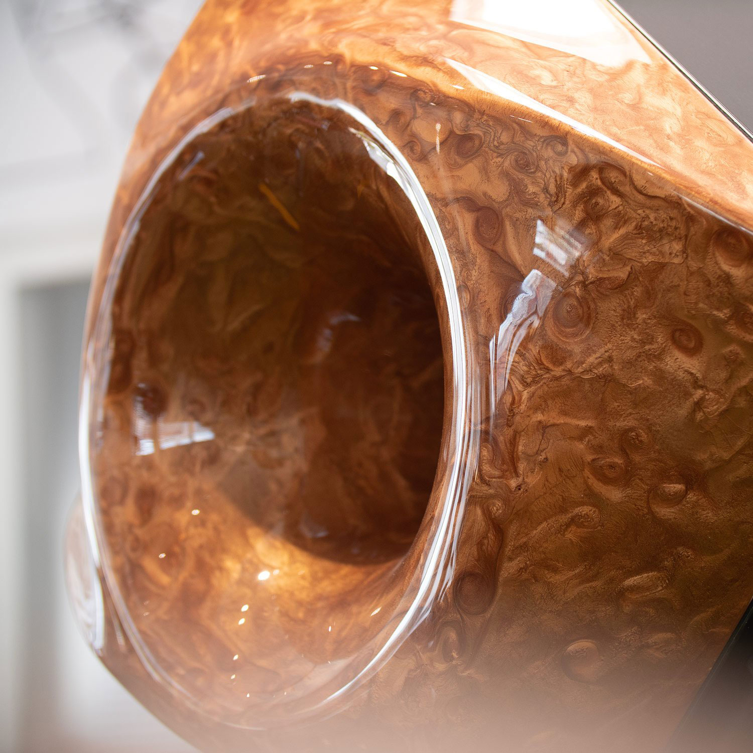 Aurora Horn Speaker