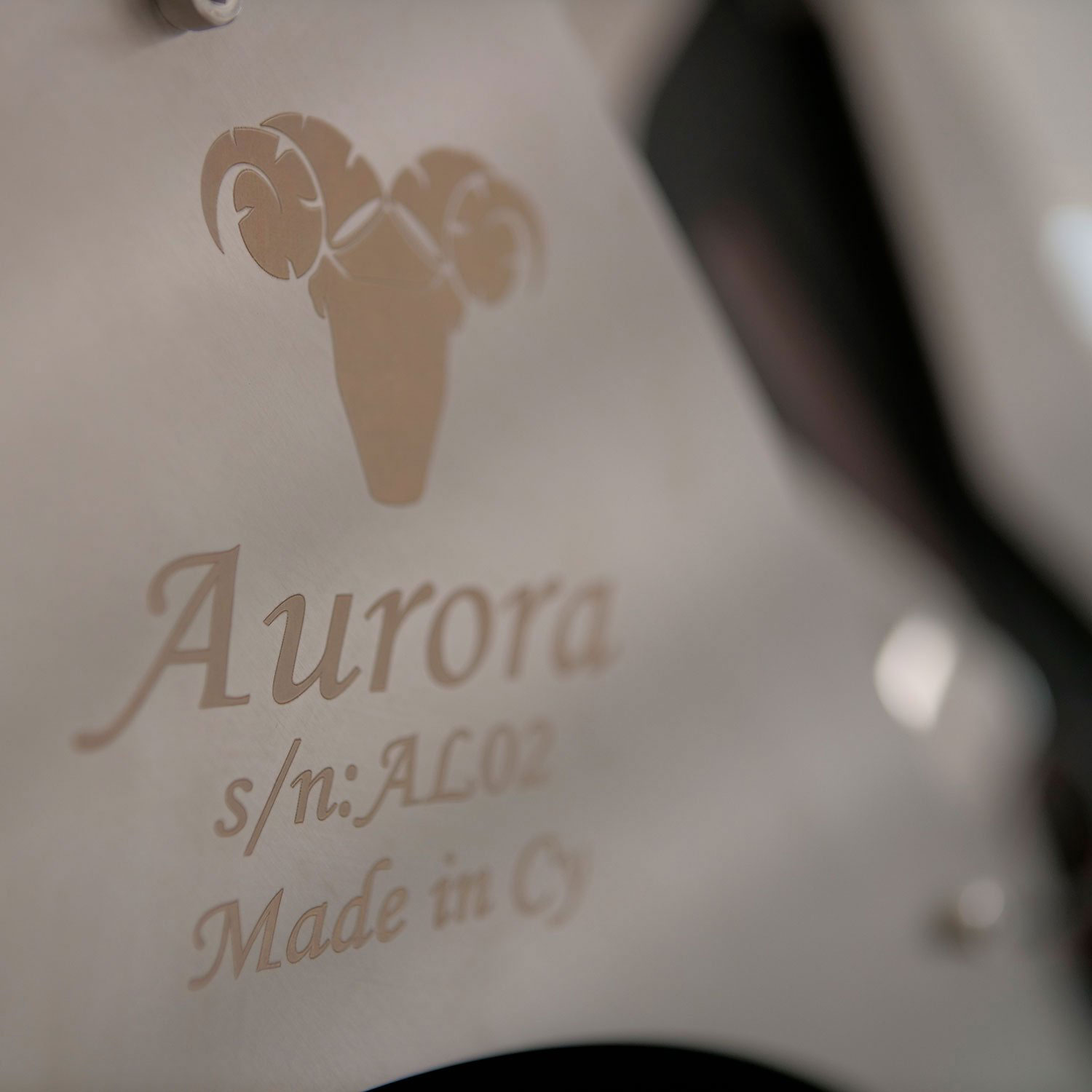 Aurora Horn Speaker
