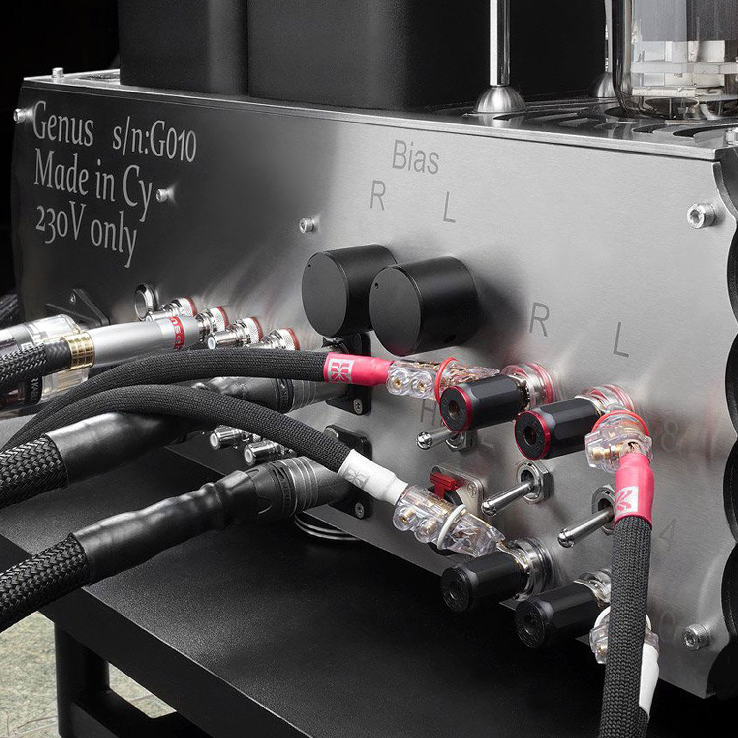 Genus Integrated Amplifier
